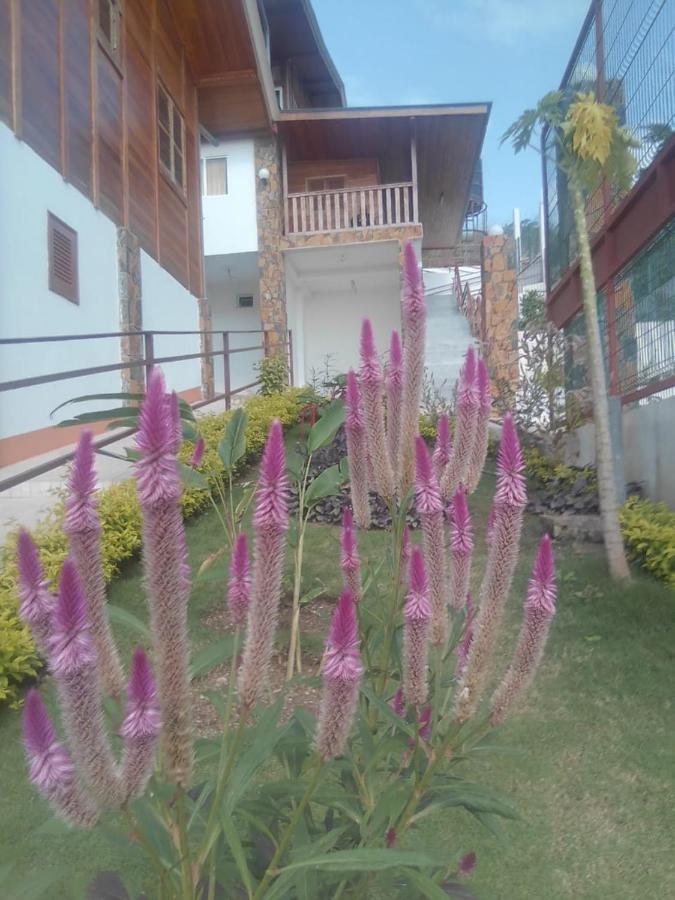 Domus Guesthouse Santana Dış mekan fotoğraf